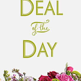 Deal of the Day text above a colorful floral arrangement