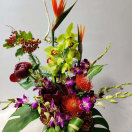 Lush Mirage