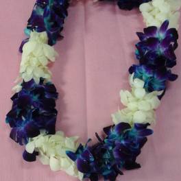 Purple and white flower lei on a pink background