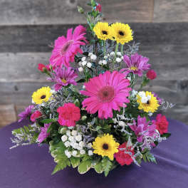 Bright mixed arrangement with hot pink gerbera daisies, yellow daisies, and carnations in a low container