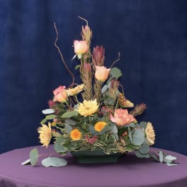 Autumn Flare