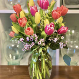 Mixed tulips in pink, coral, and yellow arranged in a glass vase