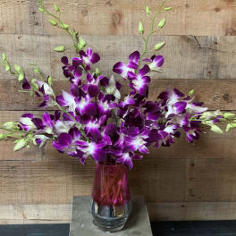 Purple orchids arranged in a pink glass vase