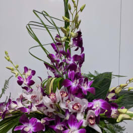 Tall arrangement of purple and white orchids in a low white container with looped grass accents