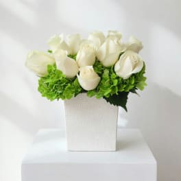 White roses arranged in a textured white vase with bright green hydrangea clusters