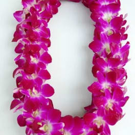 Graduation lei 1