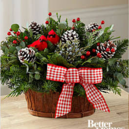 The FTD® Joyful Tidings Holiday Basket by Better Homes and Gardens®
