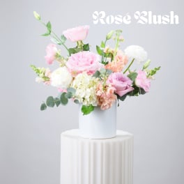Pink and white roses arranged in a white vase