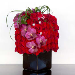Roses and Orchids Towering Above