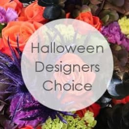 Halloween Designers Choice