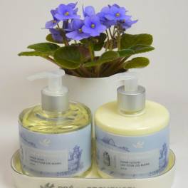 Potted purple flowers above two hand soap and lotion bottles on a tray