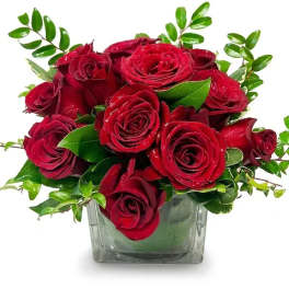 Red roses arranged in a square glass vase