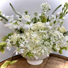 Sonata Blanca