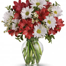 Dancing in Daisies by Teleflora