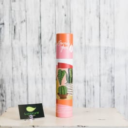 A tall cylindrical paint kit tube with cactus artwork and a small display card.