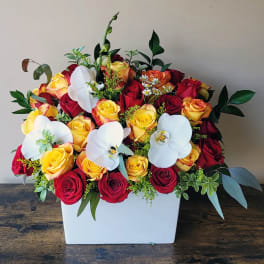 Red and yellow roses with white orchids in a white box
