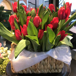 Basket of red tulips with white tissue wrap