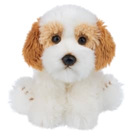 The Heritage Collection Cavachon