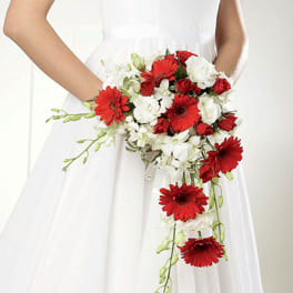 Bride holding a cascading bouquet of red and white flowers