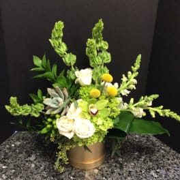 Green and white floral arrangement in a gold container