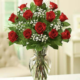 Red roses arranged in a clear glass vase with white filler flowers