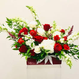 Red and white rose arrangement in a rectangular box