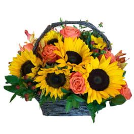 Basket arrangement of sunflowers and coral roses