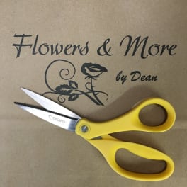 DEAL OF THE DAY!