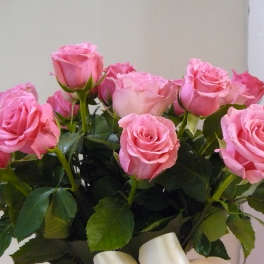 Bouquet of pink roses with a white ribbon