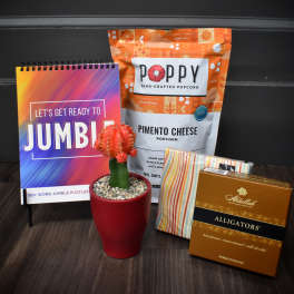 Gift set with a small potted cactus, popcorn, puzzle book, and chocolates