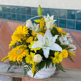 Basket Full of Wishes
