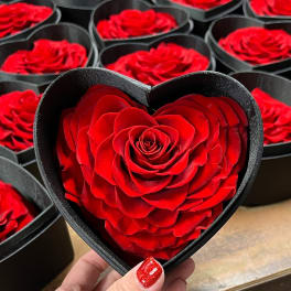 Red rose in a black heart-shaped box