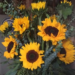 Bouquet of yellow sunflowers with dark centers and eucalyptus foliage
