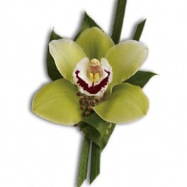 Green Orchid Boutonniere