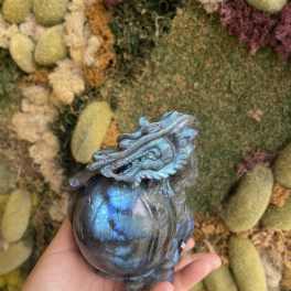 Hand holding a blue iridescent dragon figurine in front of a moss wall