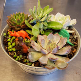 Succulent arrangement in a shallow metal bowl with small dinosaur figurines