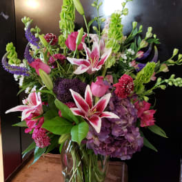 Stargazer Garden