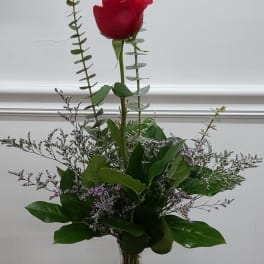 Single red rose in a clear glass vase with tall greenery
