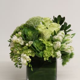 Compact arrangement of green roses and white tulips in a clear glass cube vase