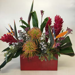 Tropical floral arrangement in a red rectangular container