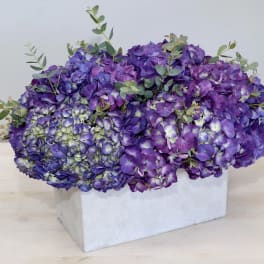 Purple hydrangea arrangement in a white rectangular box