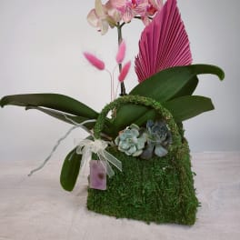 Orchid arrangement in a moss-covered basket with succulents and pink accents
