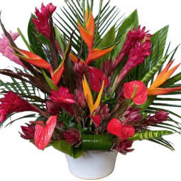 Tropical Delight