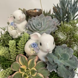 Succulent arrangement with ceramic bunny figurines