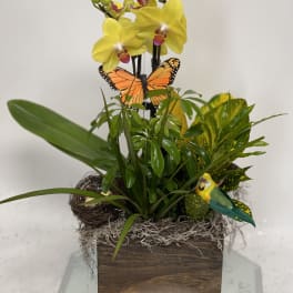 Yellow orchids in a wooden planter with a butterfly and bird decoration