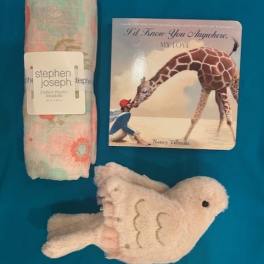 Baby swaddle blanket, children's book, and plush bird on a blue background