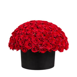Large dome of red roses in a black box
