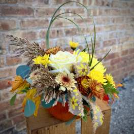 Autumn bouquet with yellow and cream flowers in a pumpkin container