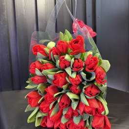 Bundle of red tulips in a clear tote-style holder