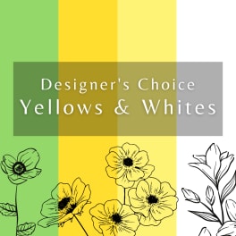Graphic reading "Designer’s Choice Yellows & Whites" with floral line art
